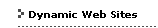 Dynamic Web Sites